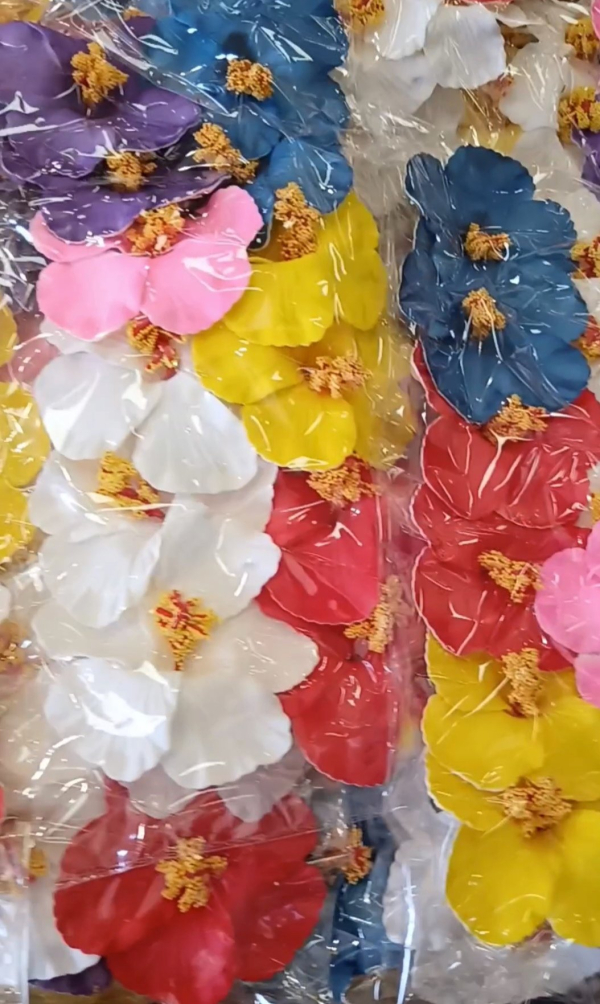 Flor Hawaii